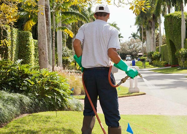 About Petrolia CA Pest Control